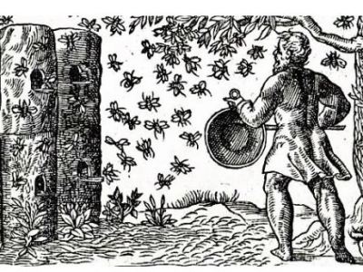 Mead was not Mainstream in Colonial&nbsp;America