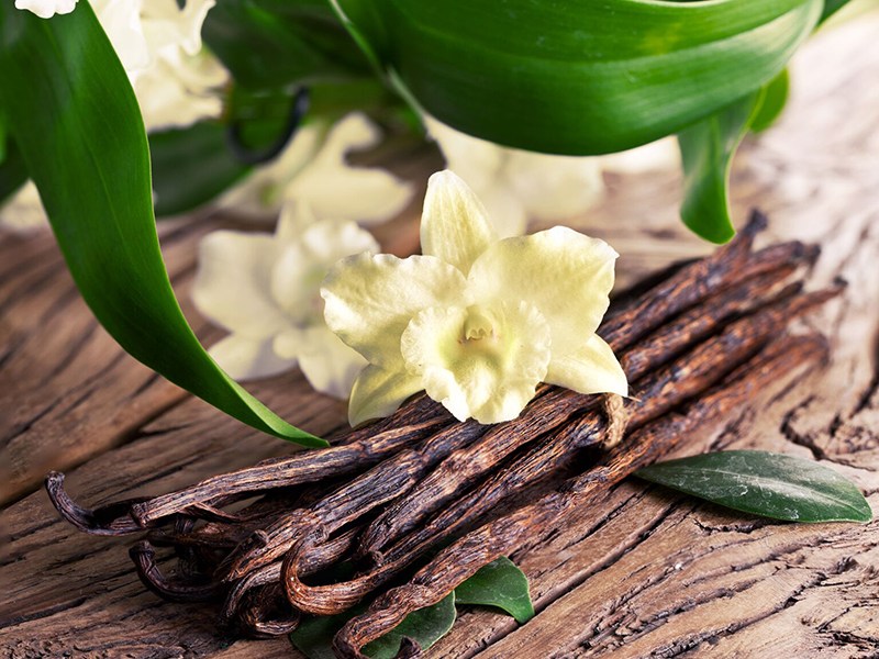 The Regimental Brewmeister’s Vanilla&nbsp;Extract