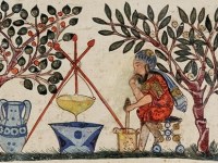 The Spice Trade – Nutmeg, Mace, and&nbsp;Cloves